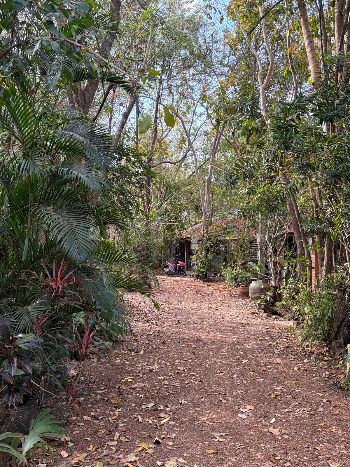 Nature Walk